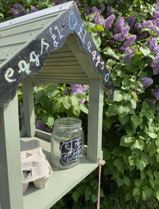 The Annex: 2 Bedroom Cottage, Countryside, Peaceful Getaway With Garden Easingwold Exterior foto